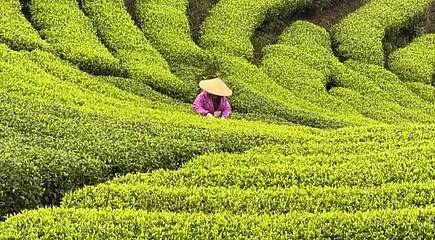 Märchenlandschaften Südchinas - Geheimtipp unserer Redakteurin Nadine Akkad