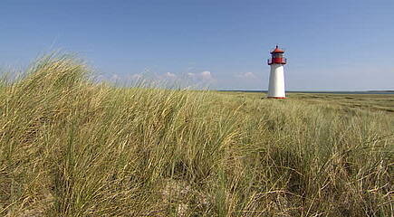Desti Nordsee