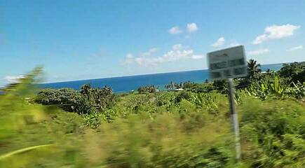 Barbados Ausflugstipp: Ostküste und Scotland District