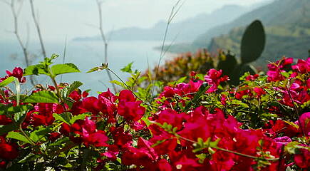 Impressionen Hotel Capo dei Greci