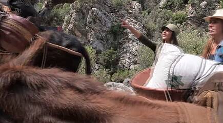 Impressionen Balearen: Menorca, Ibiza und Mallorca