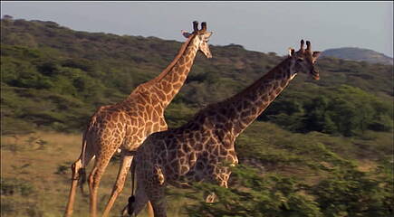Impressionen Südafrika & Mosambik