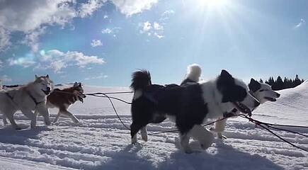 Winterzauber Lappland - Ein finnisches Wintermärchen