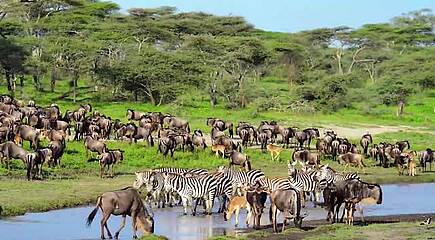 Impressionen Südafrika