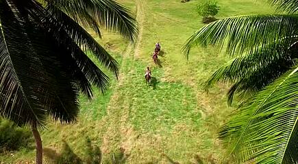 Barbados All Inclusive Strandurlaub Roulette - Accra Beach Hotel & Spa oder The Abidah by Accra